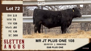 Lot #72 - MR JT PLUS ONE 108