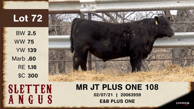 Lot #72 - MR JT PLUS ONE 108