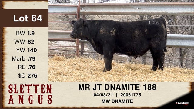 Lot #64 - MR JT DNAMITE 188