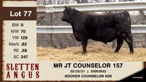 Lot #77 - MR JT COUNSELOR 157