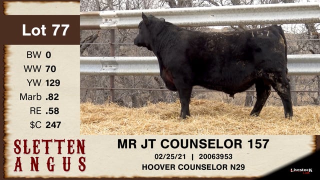 Lot #77 - MR JT COUNSELOR 157