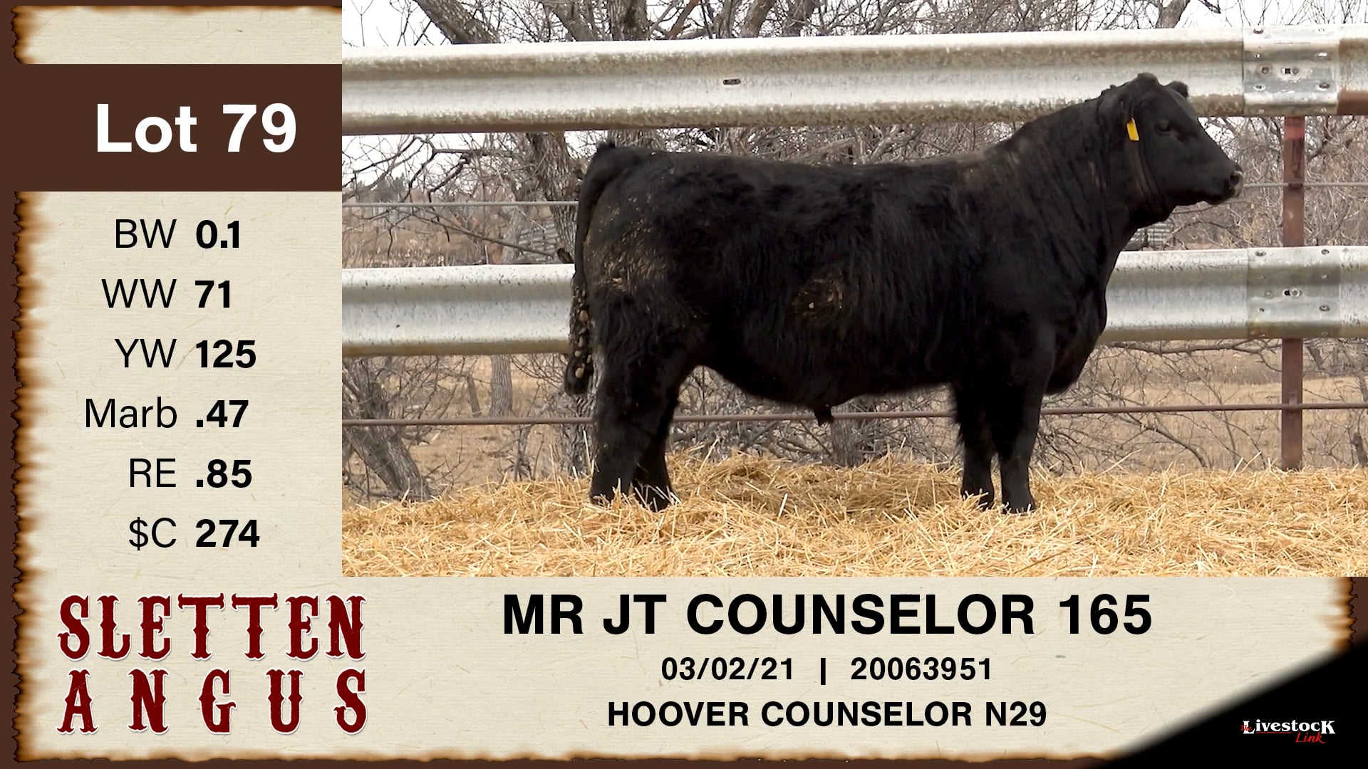 Sletten Angus - Lot 79