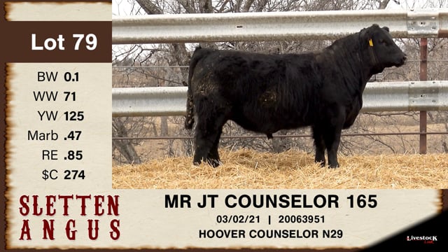 Lot #79 - MR JT COUNSELOR 165