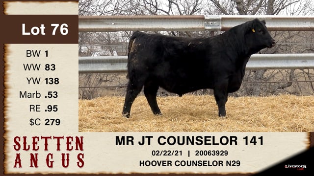 Lot #76 - MR JT COUNSELOR 141
