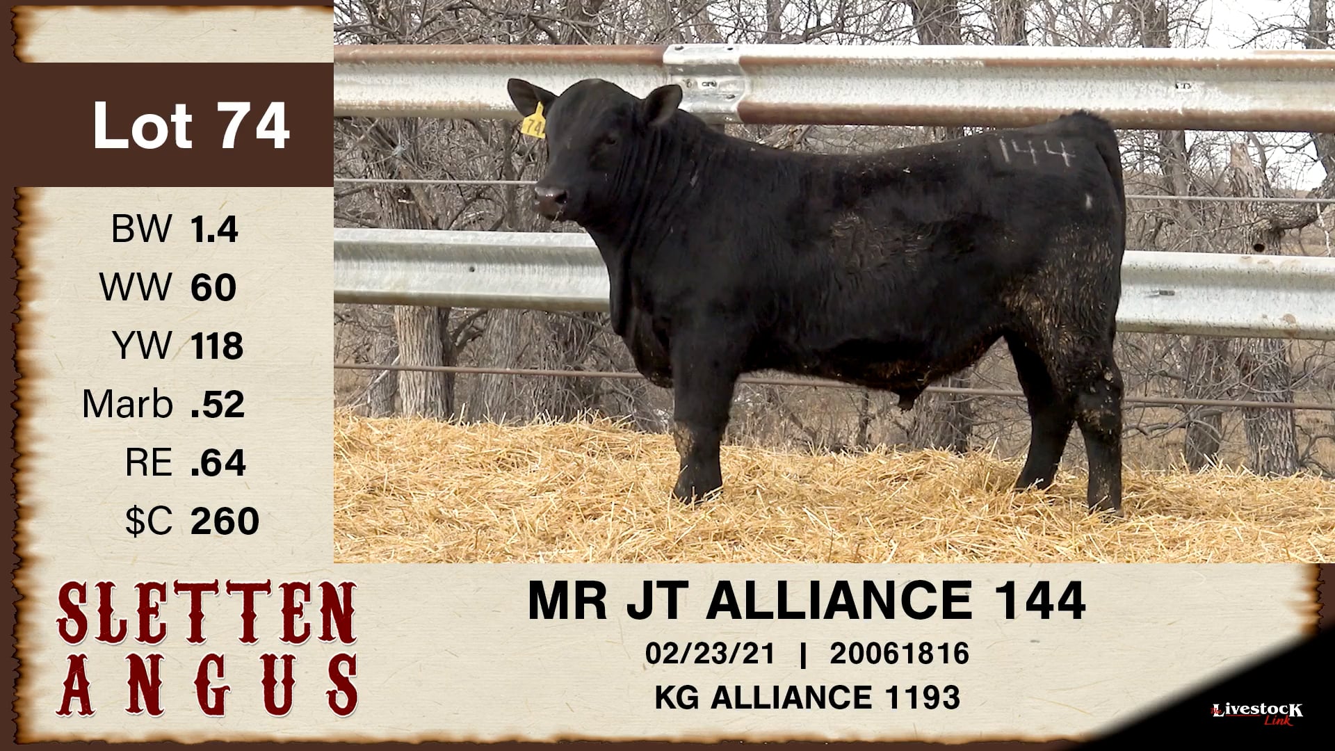 Sletten Angus - Lot 74