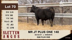 Lot #70 - MR JT PLUS ONE 148