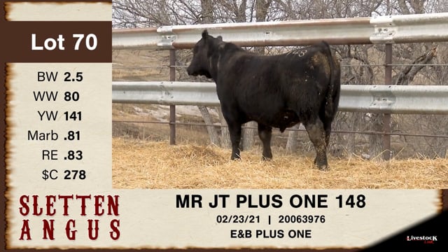 Lot #70 - MR JT PLUS ONE 148