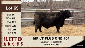 Lot #69 - MR JT PLUS ONE 104