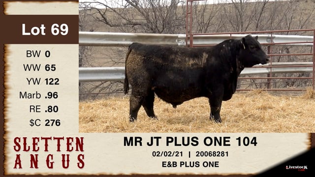 Lot #69 - MR JT PLUS ONE 104