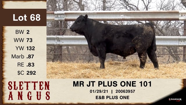 Lot #68 - MR JT PLUS ONE 101