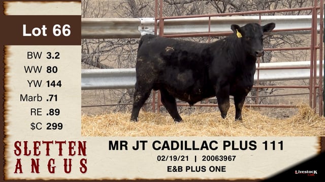 Lot #66 - MR JT CADILLAC PLUS 111