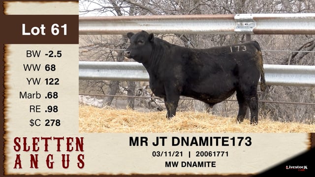 Lot #61 - OUT - MR JT DNAMITE 173 - OUT