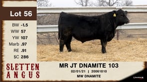 Lot #56 - MR JT DNAMITE 103