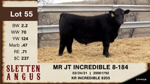 Lot #55 - MR JT INCREDIBLE 8-184