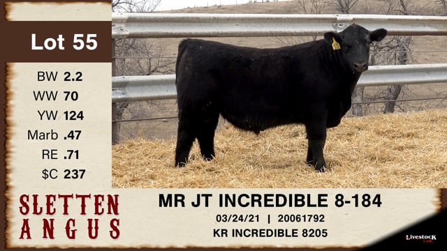 Lot #55 - MR JT INCREDIBLE 8-184