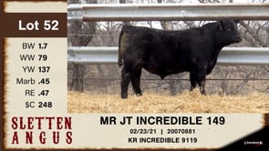 Lot #52 - MR JT INCREDIBLE 149