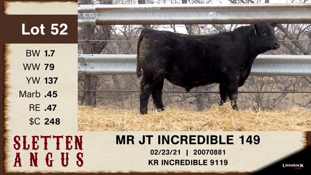 Lot #52 - MR JT INCREDIBLE 149