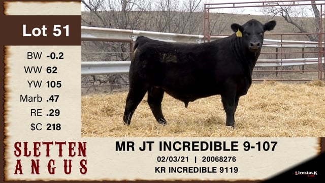 Lot #51 - MR JT INCREDIBLE 9-107