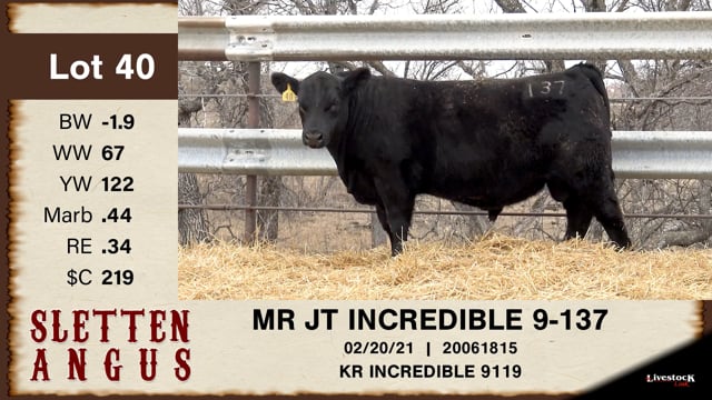 Lot #40 - MR JT INCREDIBLE 9-137