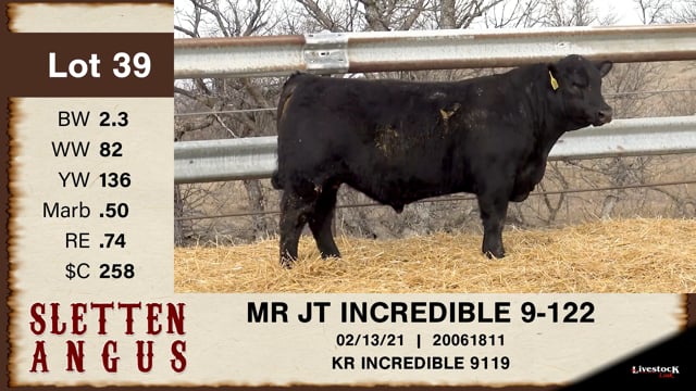 Lot #39 - MR JT INCREDIBLE 9-122