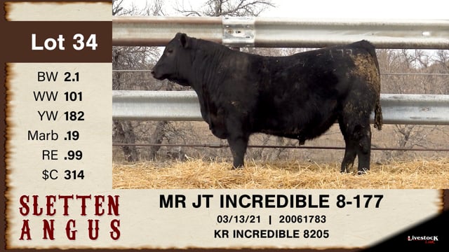 Lot #34 - MR JT INCREDIBLE 8-177