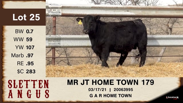 Lot #25 - OUT - MR JT HOME TOWN 179 - OUT