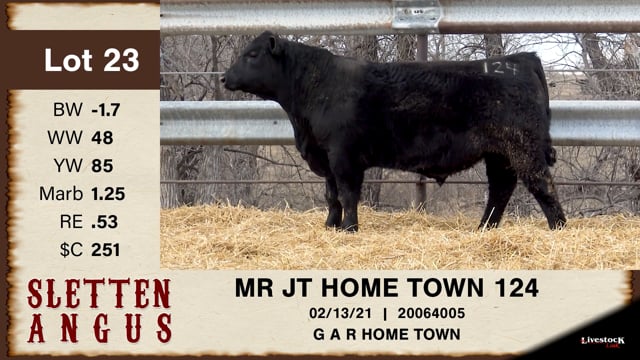 Lot #23 - MR JT HOME TOWN 124