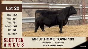 Lot #22 - MR JT HOME TOWN 133