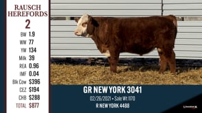 Lot #2 - GR NEW YORK 3041