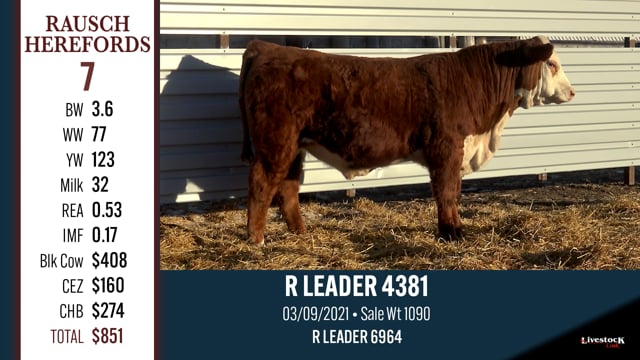 Lot #7 - R LEADER 4381
