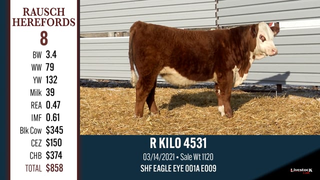 Lot #8 - R KILO 4531