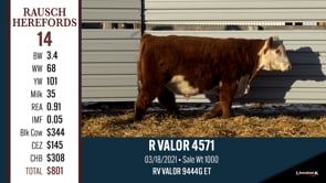 Lot #14 - R VALOR 4571