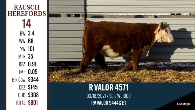 Lot #14 - R VALOR 4571
