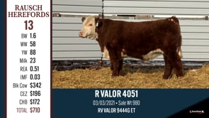 Lot #13 - R VALOR 4051