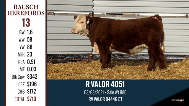 Lot #13 - R VALOR 4051