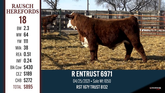 Lot #18 - R ENTRUST 6971