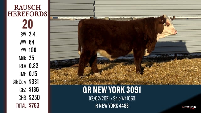 Lot #20 - GR NEW YORK 3091