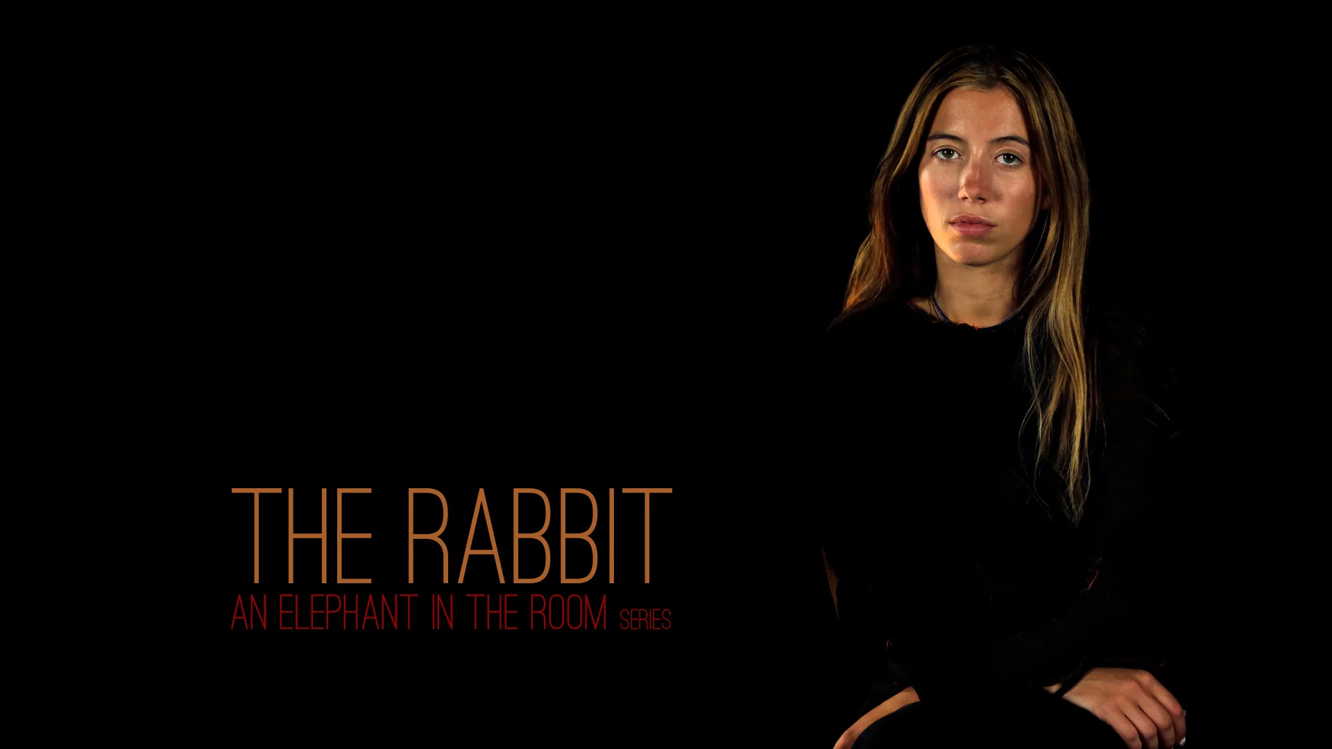 The Rabbit