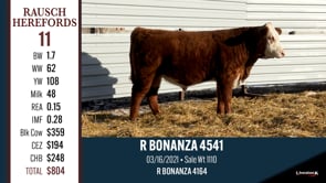 Lot #11 - R BONANZA 4541