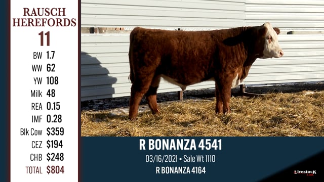 Lot #11 - R BONANZA 4541