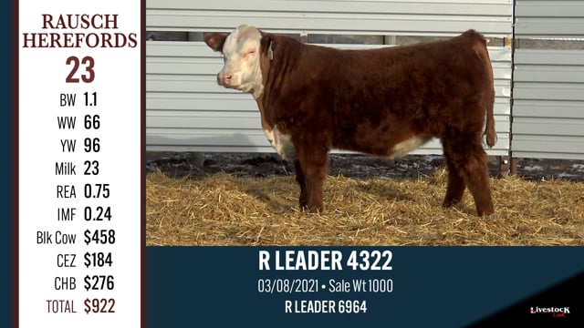Lot #23 - R LEADER 4322
