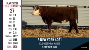 Lot #27 - R NEW YORK 4091