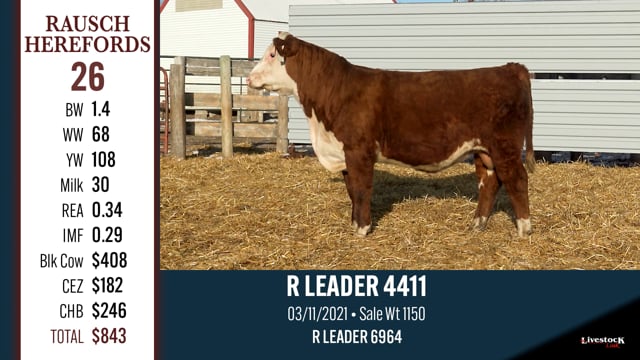 Lot #26 - R LEADER 4411