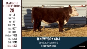 Lot #28 - R NEW YORK 4141
