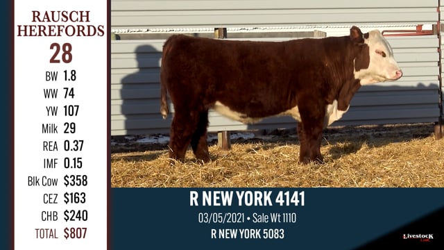 Lot #28 - R NEW YORK 4141