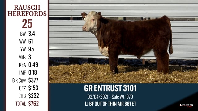 Lot #25 - GR ENTRUST 3101