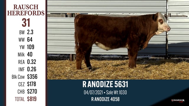 Lot #31 - R ANODIZE 5631