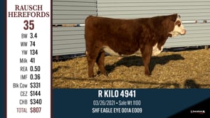 Lot #35 - R KILO 4941