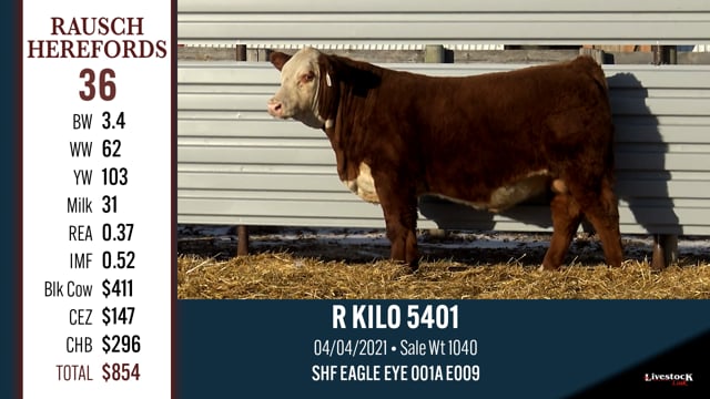 Lot #36 - R KILO 5401
