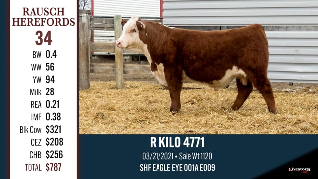 Lot #34 - R KILO 4771